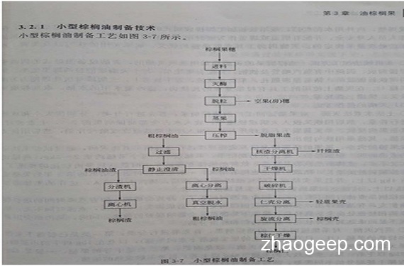 兆格分享：液壓榨油機(jī)在制取棕櫚油的應(yīng)用