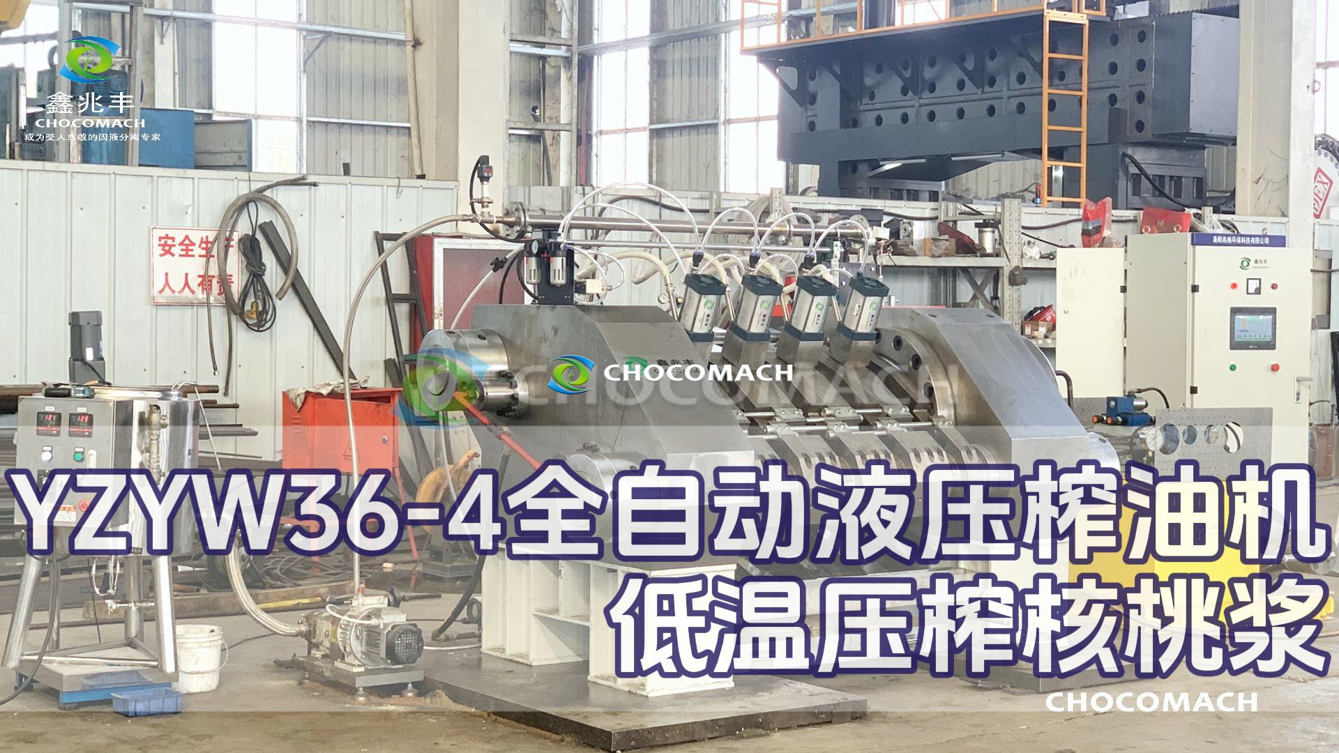 洛陽兆格環(huán)保YZYW36-4全自動(dòng)核桃榨油機(jī)