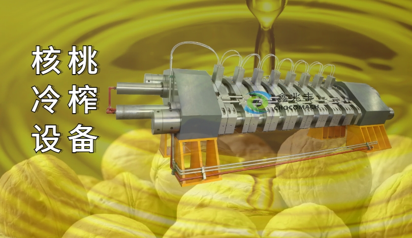 全自動(dòng)臥式液壓核桃榨油機(jī)工業(yè)項(xiàng)目案例