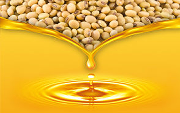 多維度分析與深度解讀2025年5月食用油市場(chǎng)動(dòng)態(tài)