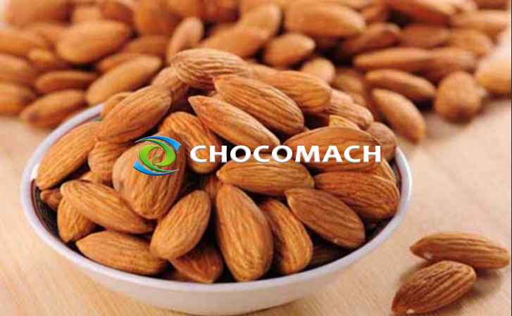 苦杏仁（杏仁油）：藥食同源的寶藏種子