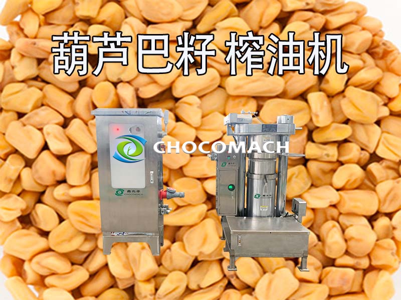 新品葫蘆巴籽全自動液壓榨油機助力產(chǎn)業(yè)發(fā)展